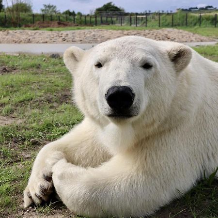 Chic 2 Bed Peak District Cottage Barn Near Alton Towers, Polar Bears, Chatsworth House ลีก ภายนอก รูปภาพ