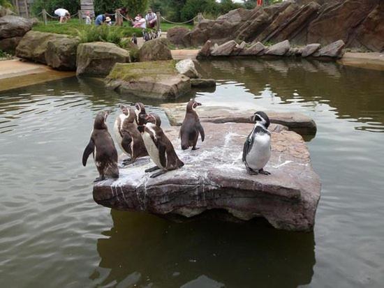 Chic 2 Bed Peak District Cottage Barn Near Alton Towers, Polar Bears, Chatsworth House ลีก ภายนอก รูปภาพ