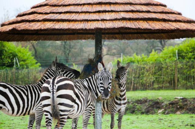 Chic 2 Bed Peak District Cottage Barn Near Alton Towers, Polar Bears, Chatsworth House ลีก ภายนอก รูปภาพ