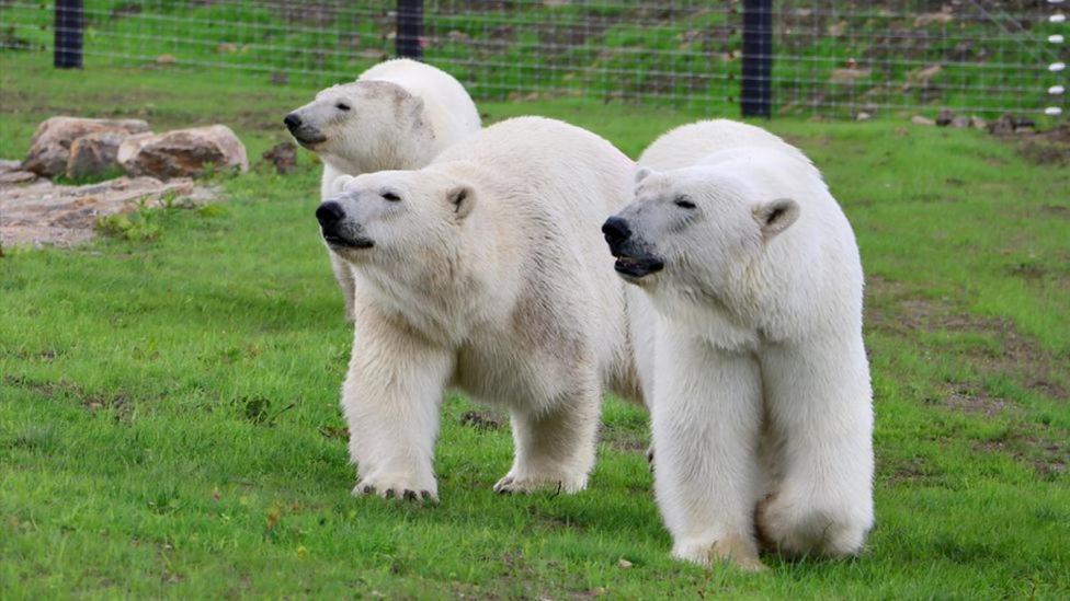 Chic 2 Bed Peak District Cottage Barn Near Alton Towers, Polar Bears, Chatsworth House ลีก ภายนอก รูปภาพ