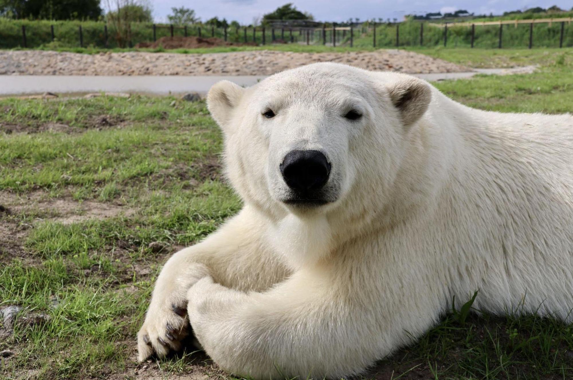 Chic 2 Bed Peak District Cottage Barn Near Alton Towers, Polar Bears, Chatsworth House ลีก ภายนอก รูปภาพ